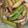 azusa1002's cooksnap of when they made アスパラ・エリンギの炒め物.