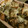 bonnet's cooksnap of when they made ポテトとサーモンのグラタン風重ね焼き♪.