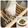 のんべぇヒロ's cooksnap of when they made 大根おろしが楽々～簡単に出来る～.