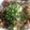 masagonta's cooksnap of when they made キムチ風味の野菜炒め夏バテ防止.