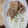 nico2yoko's cooksnap of when they made ガツガツ食べるうちの♥♡しょうが焼き。.