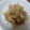 kaiyui's cooksnap of when they made お手軽♪みょうがとねぎのさっぱり和え.