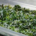 あきあんづ's cooksnap of when they made ふんわりシラスとかぶの葉菜飯.