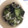 サトエル's cooksnap of when they made キュウリとワカメの酢の物.