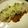 みみもぐら's cooksnap of when they made 旨ダレで✿お造り.