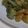 non1822's cooksnap of when they made 新じゃがのたらマヨチーズ.