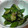 Ｔａｅやん's cooksnap of when they made 簡単美味しいおくらのおかか炒め.