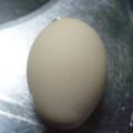 Shiszumi's cooksnap of when they made １分クッキング！超簡単ゆでたまご♪.