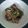 Jo～Jo～'s cooksnap of when they made ご飯がすすむ！！さんまの香味煮.