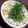yu____ka's cooksnap of when they made 塩糀で炊く『しらす☆コーンごはん』.