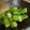 yfa's cooksnap of when they made オクラのさっと煮.