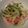 ねこはら's cooksnap of when they made きゅうりとカニカマの酢物.