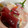 なおすけ151a's cooksnap of when they made 白ごはんが進む【海鮮丼のタレ】.