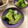 まじゅじゅ's cooksnap of when they made *うちの子大好き☆青梗菜のナムル*.