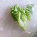口福さん♪'s cooksnap of when they made 簡単手軽 サニーレタスの保存方法.