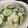 もじ○'s cooksnap of when they made 簡単♪梨とキュウリの爽やか季節のサラダ.