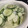 もじ○'s cooksnap of when they made 簡単♪梨とキュウリの爽やか季節のサラダ.