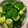 mintsafari's cooksnap of when they made 簡単！安い！美味しい自家製浅漬けの素♪.