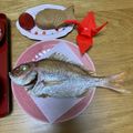 ♪ひつじ's cooksnap of when they made お食い初め 鯛の塩焼き.