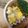 11ume's cooksnap of when they made アレンジ無限大∞レンジで簡単🥚炒り卵.