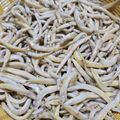 ハマタカ's cooksnap of when they made イカナゴの釜揚げ.