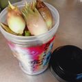 ひっこ's cooksnap of when they made 茗荷（みょうが）の保存方法　＾＾♪.