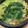 lala5's cooksnap of when they made 寄せ鍋の簡単比率の黄金のつゆ！　鍋つゆ　.