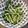 run※'s cooksnap of when they made 大嫌い！な水菜が旨すぎるサラダ.