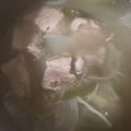 ふぁんころ's cooksnap of when they made スープも美味しい！豚スペアリブの塩煮込み.