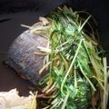 huzitaka's cooksnap of when they made ぶりの照り焼き.
