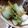 nyammy's cooksnap of when they made 白菜の生姜焼き.