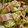 CharlesMA's cooksnap of when they made 簡単！！アボガドのみそマヨ和え.