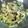 サラミ's cooksnap of when they made ゴーヤのナムル.