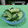 ぽっぽぺぺ's cooksnap of when they made 塩麹＆しょうが☆きゅうりの浅漬け.