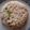 Maraisin's cooksnap of when they made 小さな幸せ@鮭葱おにぎり.