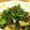 パルタ３２６'s cooksnap of when they made 茄子と油揚げの煮物♪.