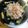 ははぁ's cooksnap of when they made ☆塩麹とめんつゆで作る☆茄子のお漬物.
