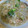 ははぁ's cooksnap of when they made 塩麹deむきえびともやしのとろ～り煮.