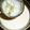くらころ's cooksnap of when they made *:.ローズマリー風味パンナコッタ.:*.