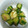 あっちくりんくりん's cooksnap of when they made 簡単♪きゅうりのお漬物☆.