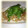 おとo's cooksnap of when they made れんこんのたらこ和え.