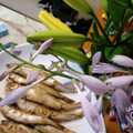 りりり♪'s cooksnap of when they made ワカサギの生姜煮。.
