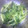しょう０２２８'s cooksnap of when they made 簡単！きゅうり炒め.