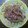 zfreesia's cooksnap of when they made もやしとイカゲソの簡単炒め.