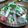 likepansy's cooksnap of when they made なめこと茄子とトマトの冷奴.