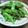 komamagokko's cooksnap of when they made 『これ旨いね♪』１年中食べたぃ✿味付き焼枝豆.