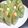 ヒロコロリ's cooksnap of when they made アボカドと生ハムの生春巻き.