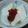 じっぽー's cooksnap of when they made ミルクかんてん.