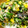 muffin77's cooksnap of when they made 簡単☆ピーマンのツナマヨ和え.