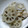 momoco's cooksnap of when they made れんこんと豚肉のしゃきしゃき炒め.